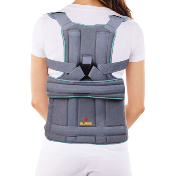 Taylor's Brace Dorso Lumbar Brace